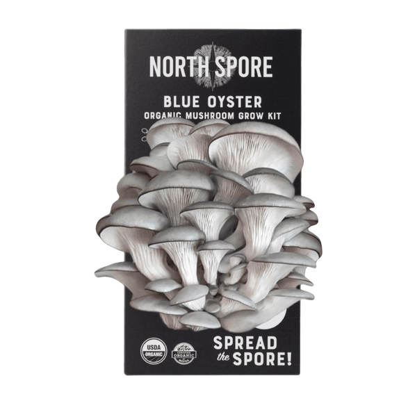 North Spore Organic Blue Oyster Spray & Grow Kit